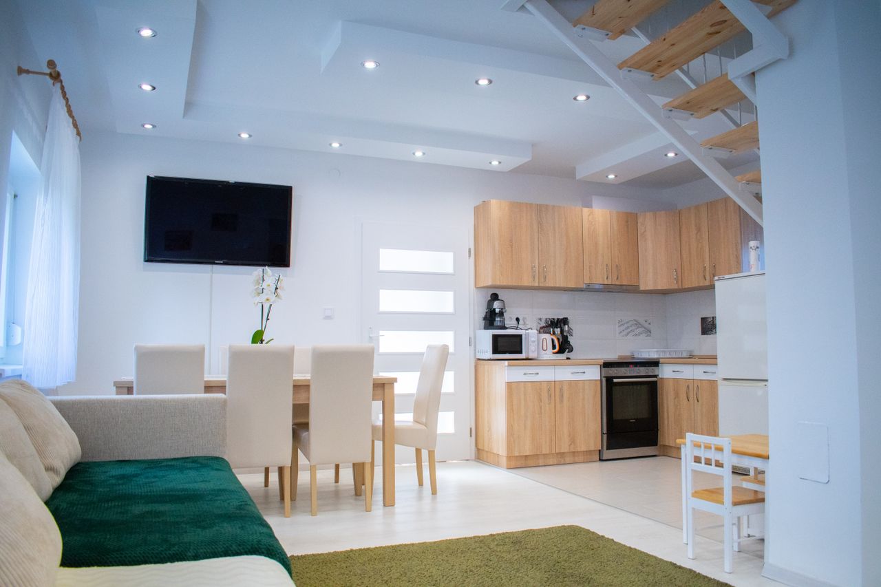 Interior of spacious dining room and kitchen with modern appliances and comfortable chairs and sofa